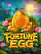 FORTUNE EGG