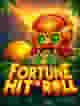 Fortune Hit'n Roll