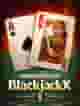 Indonesian BlackjackX 5