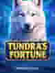 Tundra's Fortune