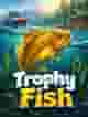 Trophy Fish