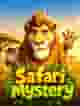 Safari Mystery