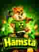 Hamsta